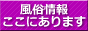 風俗ステーション 